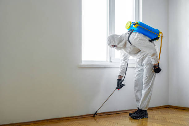 Best Termite Control Services  in Poplarville, MS