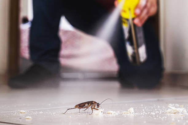 Best Commercial Pest Control Services  in Poplarville, MS